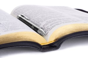 shutterstock_186011153