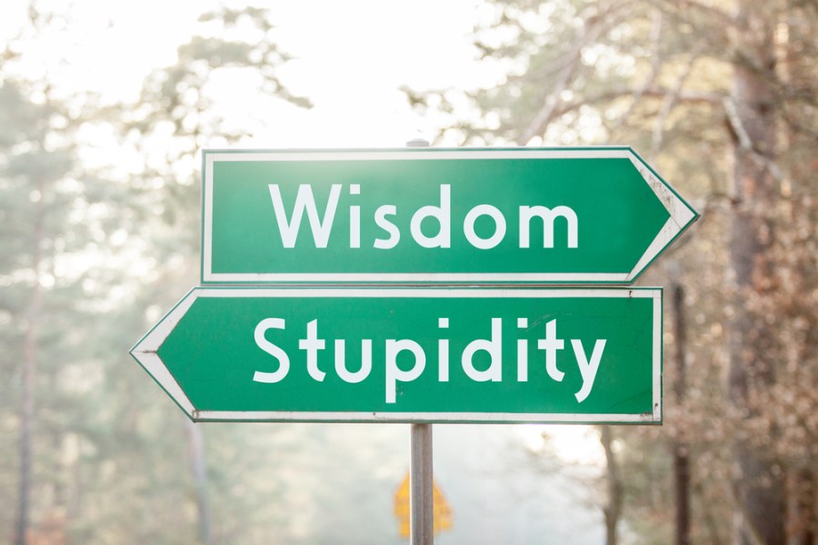 Wisdom/Stupidity